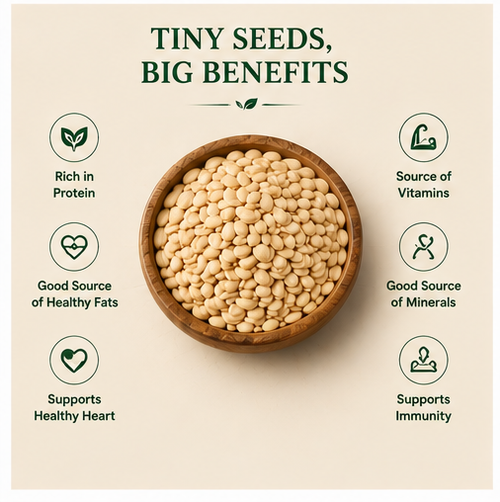Muskmelon Seeds